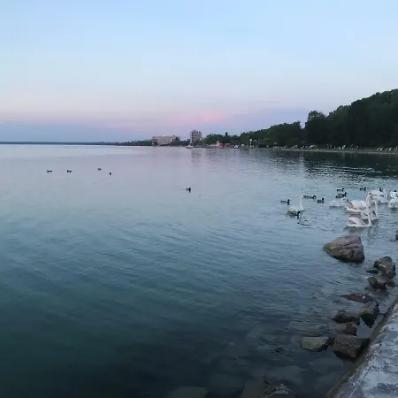 Case de vacanță Dora